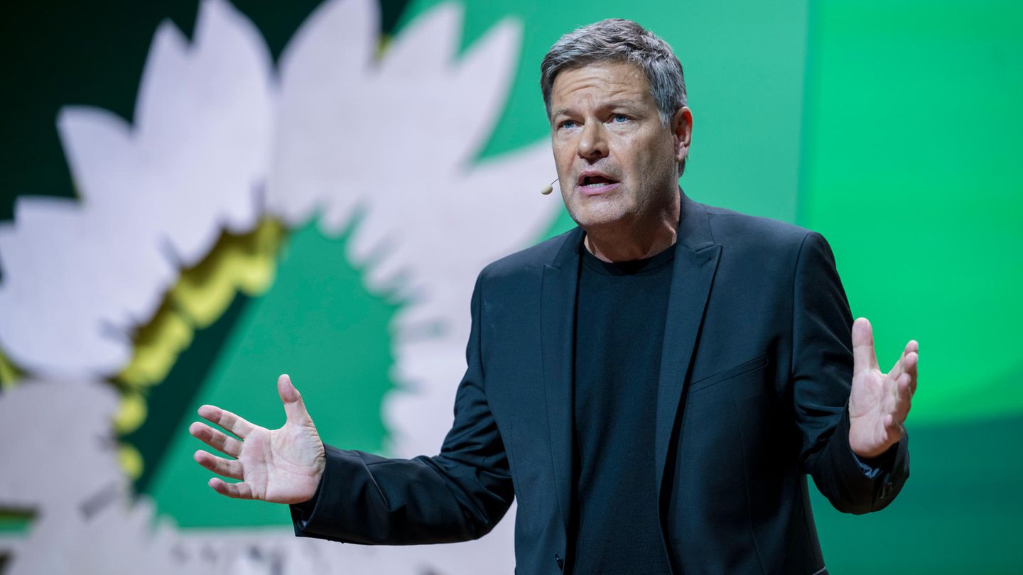 Die Grünen: Robert Habeck beim Parteitag der Grünen