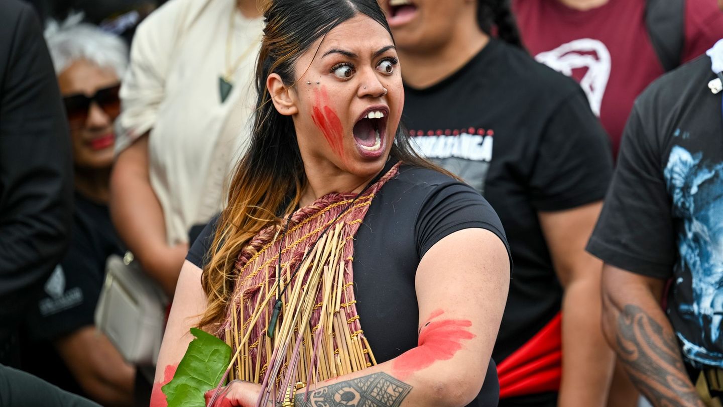 Umstrittener Gesetzesentwurf: Zehntausende bei Maori-Protesten in Neuseeland