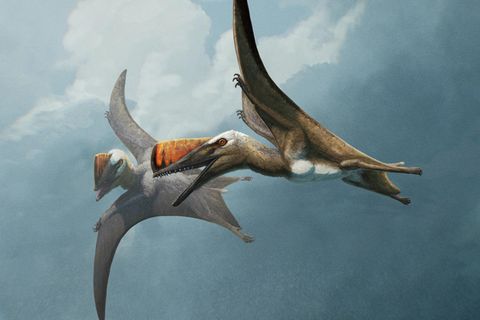 Flugsaurier