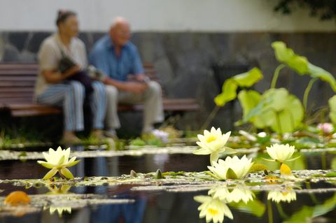 Lebenserwartung