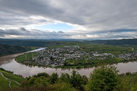 Blick auf die Mosel bei Piesport: Der Himmel ist grau und wolkenverhangen