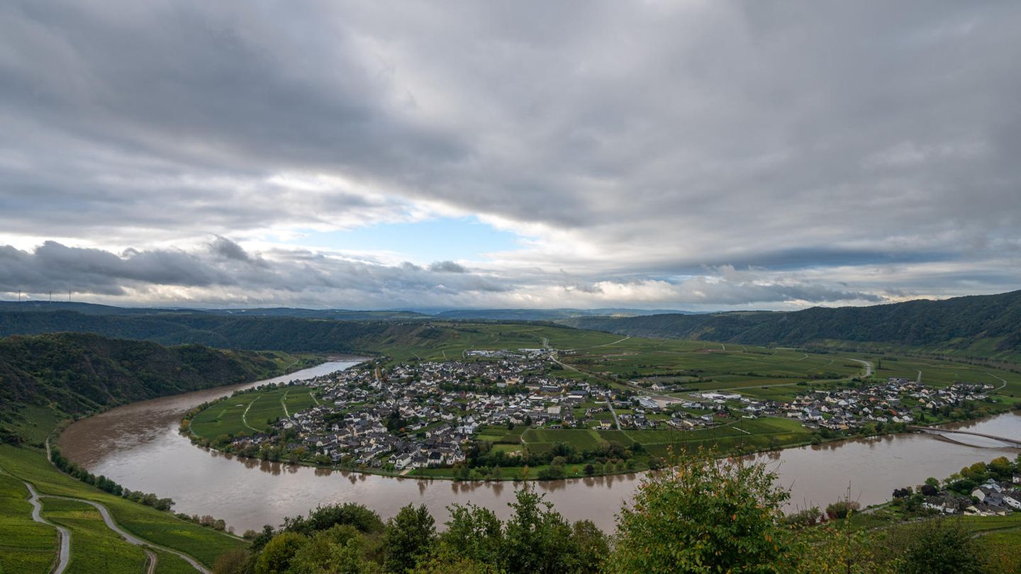 Blick auf die Mosel bei Piesport: Der Himmel ist grau und wolkenverhangen