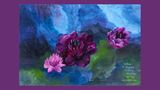 Am liebsten malte Ruth Maria Kubitschek Blumen