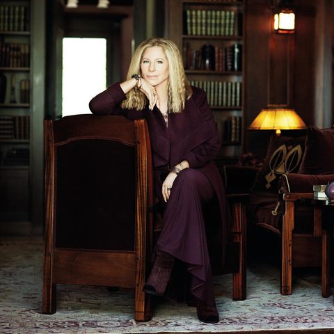 Barbra Streisand im Portrait