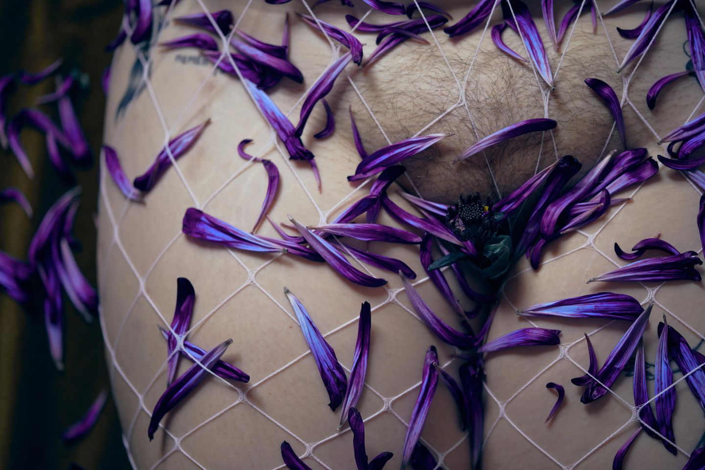 Die Beine einer Frau in eine weiße Strumphose gepresst, ihre Vulva mit Blumenblättern bedeckt