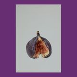 Eine aufgeschnittene Feige auf grauem Hintergrund