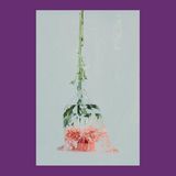 Eine Blume umgedreht in einen durchsichtigen Beutel mit Wasser gesteckt