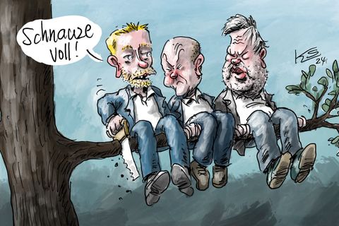 "Schnauze voll! - Karikaturen 2024" von Klaus Stuttmann