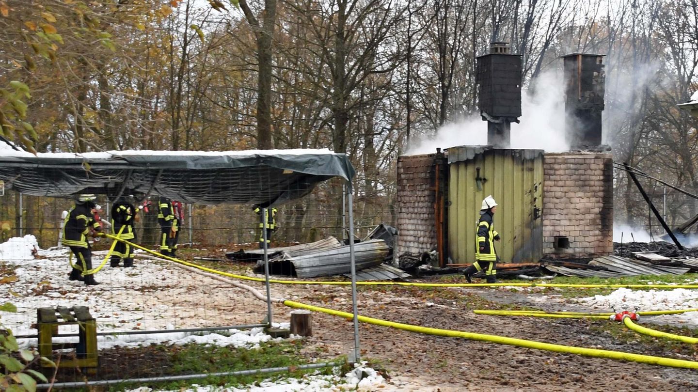 Refugee accommodation in North Rhine-Westphalia burned down – around 20 injured