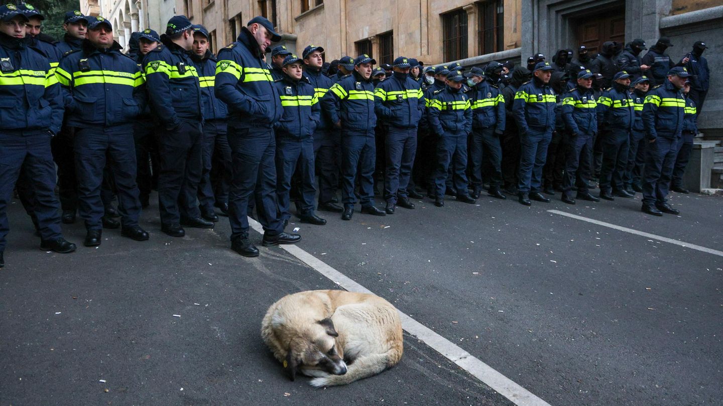 Tiflis, Georgien. Polizisten stehen während einer Kundgebung gegen die Wahlergebnisse vom 26. Oktober vor dem georgischen Parlament Wache. Über die von Fälschungsvorwürfen begleitete Parlamentswahl in der Schwarzmeer-Republik gibt es Streit. Ein entspannter Vierbeiner ist auch dabei und lässt sich von der Szenerie nicht stören. Am Montag, den 25. November, wird das neu gewählte Parlament zur ersten Sitzung zusammentreten, um seinen Sprecher, seine Stellvertreter und Ausschussvorsitzenden zu wählen