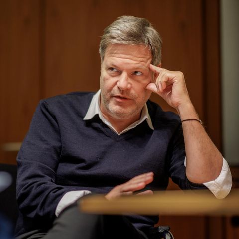 There is great outrage surrounding Robert Habeck's ad after the idiot meme. According to critics, the intervention of the judiciary is disproportionate