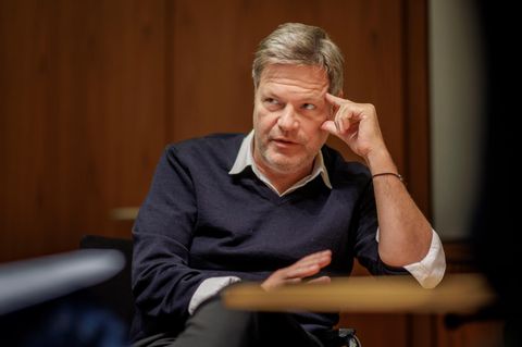 Die Empörung rund um die Anzeige von Robert Habeck nach dem Schwachkopf-Meme ist groß. Unverhältnismäßig sei das Eingreifen der Justiz, so die Kritiker
