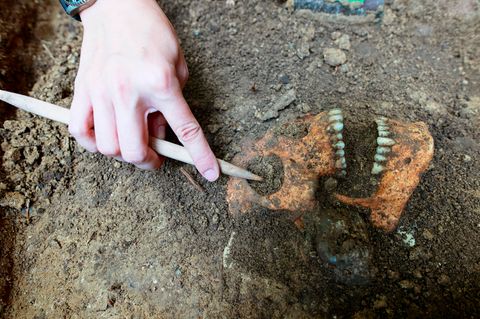 Archäologie-Skandal: Ein Schädel in der Erde wird vcn einem Wissenschaftler untersucht