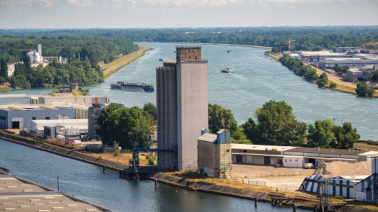 Rhein bei Straßburg nahe Iffezheim