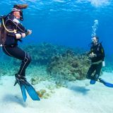 Rotes Meer zwei Taucher