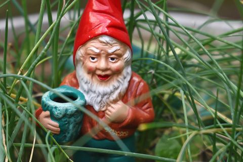 Niederlande: Symboldbild eines Gartenzwergs