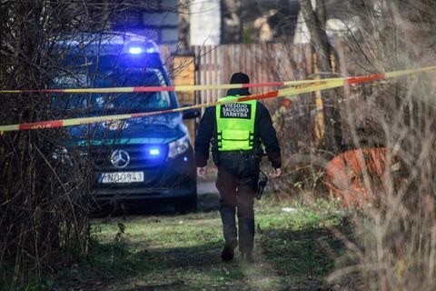 Ein Polizist in Litauen