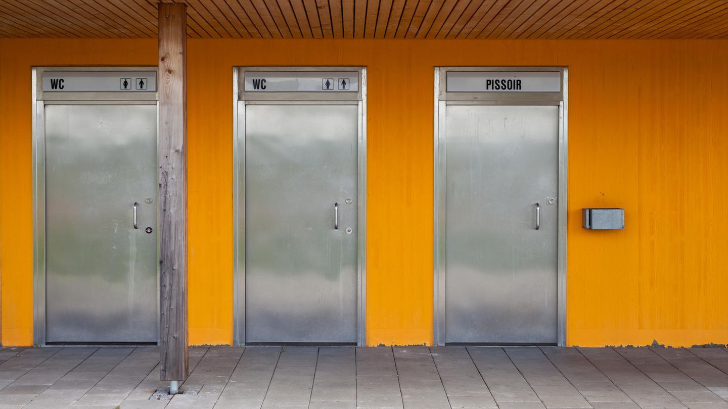 Auch die schlimmste Notdurft hat sich beim Anblick einer solchen Raststätten-Toilette erledigt (Symbolbild)