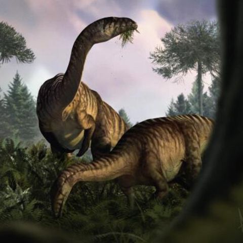 Dinosaurier