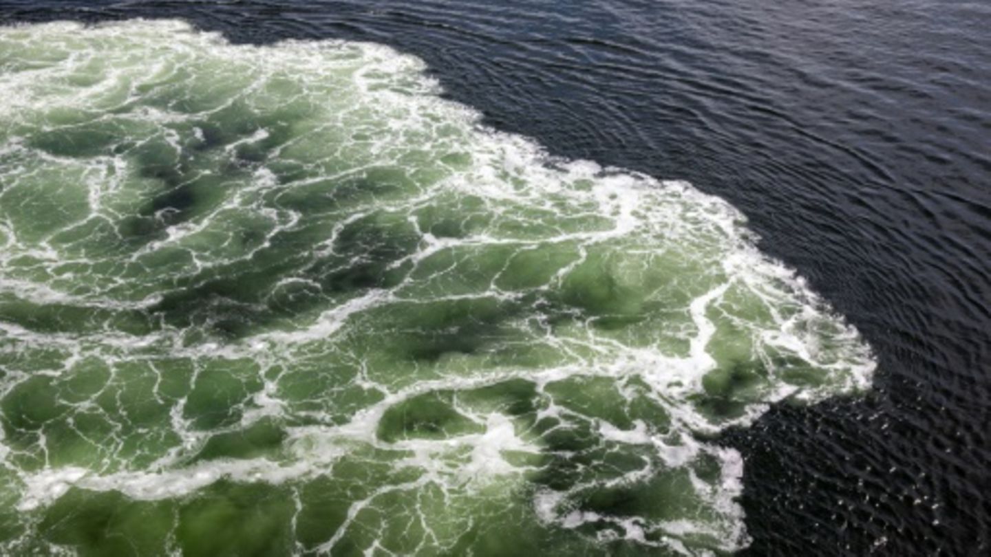 Meerwasser