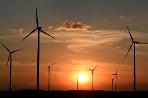 Windräder in Brandenburg
