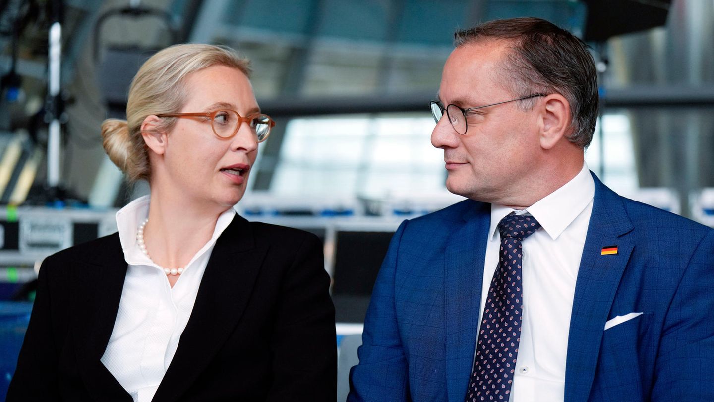 AfD-Chefs Weidel und Chrupalla: Brisante Forderungen im Wahlprogramm