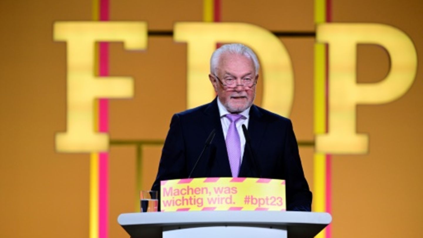 FDP-Vize Kubicki