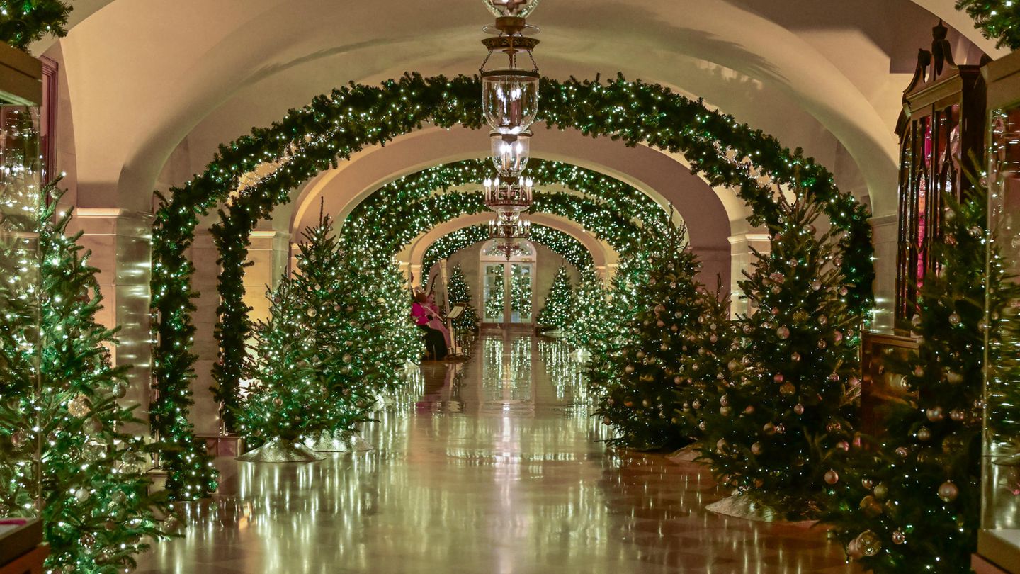Ein Flur mit vielen Weihnachtsbäumen