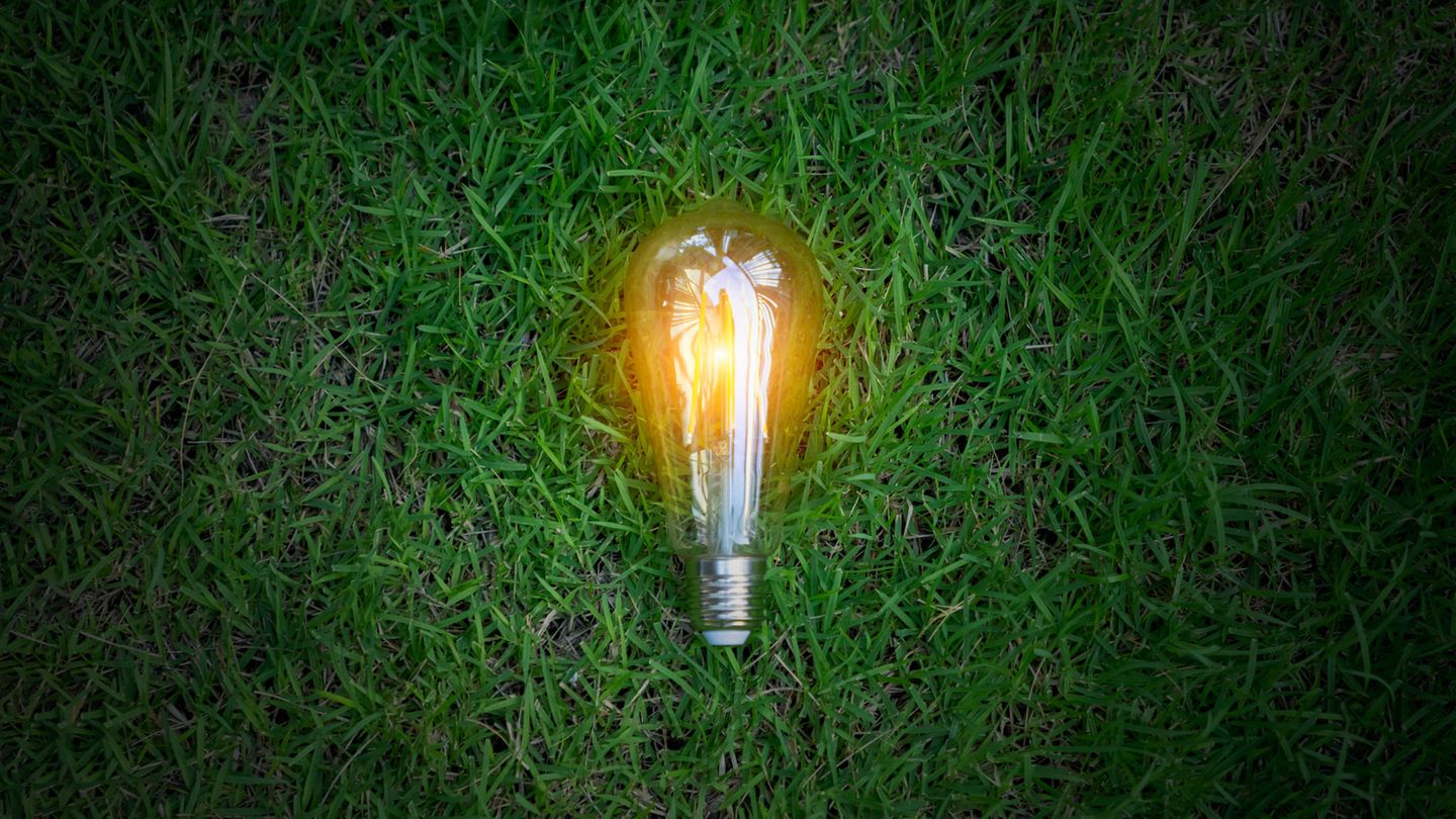 Glühbirne auf Rasen