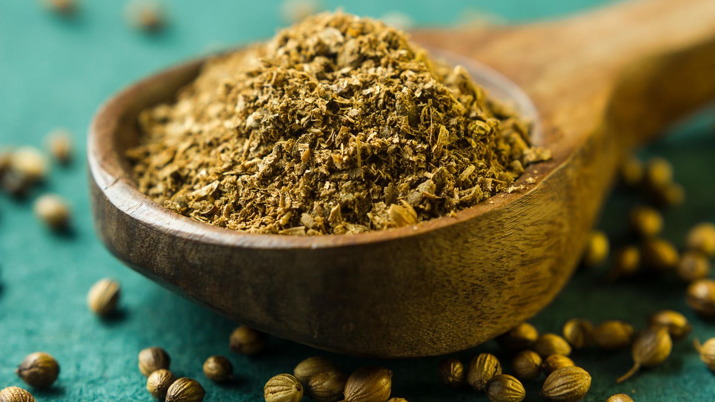 Der Überraschungsgast: Koriandersamen stecken in vielen Gewürzmischungen. Gemahlen geben sie Curries eine zitrusartige Frische, ganz verfeinern sie Marinaden und Pickles. Frisch gemahlen entwickeln sie ein deutlich intensiveres Aroma als fertig gemahlenes Pulve