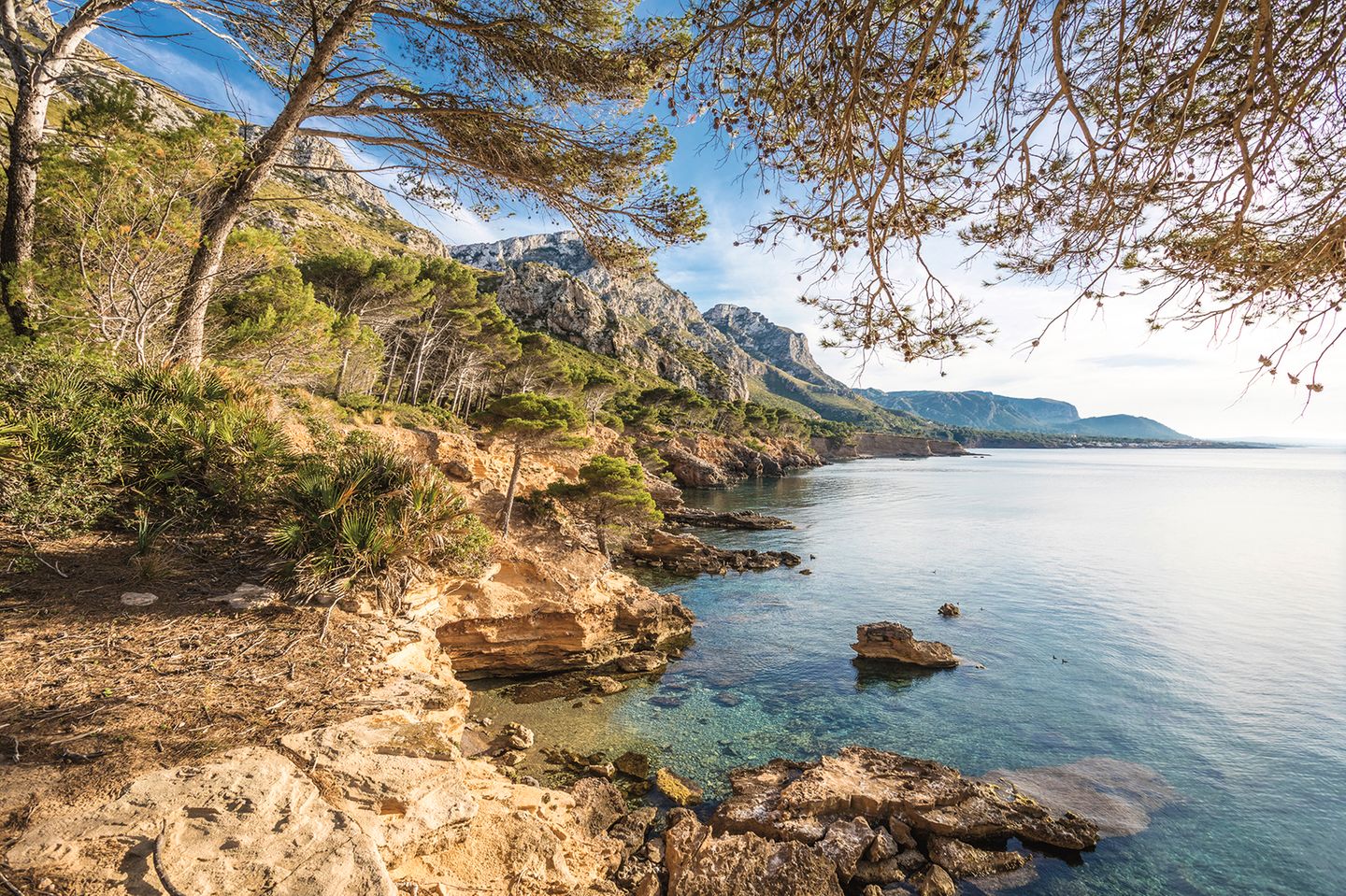 Platja des Caló: Die versteckte Bucht des Ostens mallorquinische Küstenlandschaft mit klarem Wasser, Pinienbäumen und Begen im Hintergrund