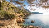 mallorquinische Küstenlandschaft mit klarem Wasser, Pinienbäumen und Begen im Hintergrund
