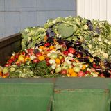 Ein Container mit weggeschmissenem Gemüse