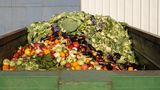 Ein Container mit weggeschmissenem Gemüse