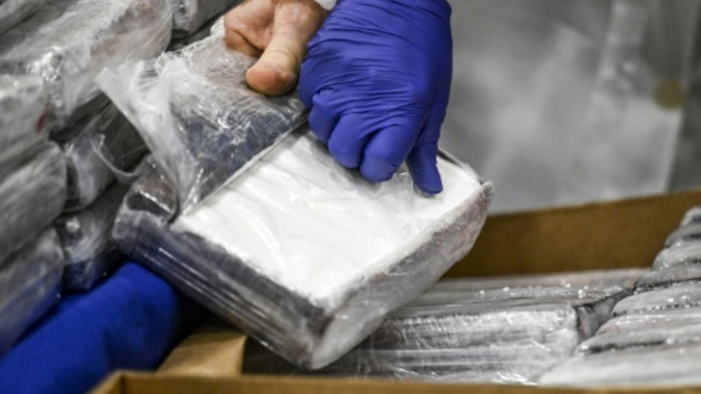 Das verpackte Kokain wurde beschlagnahmt