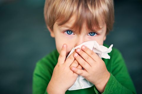Erkältung bei Kindern: Ein kleiner Junge putzt sich die Nase mit einem Taschentuch