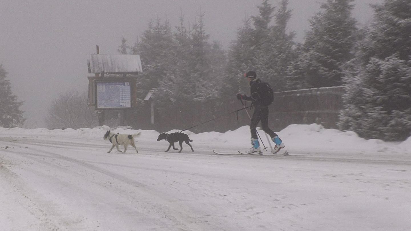 Wetter am Donnerstag: In den Mittelgebirgen wird Schneefall erwartet