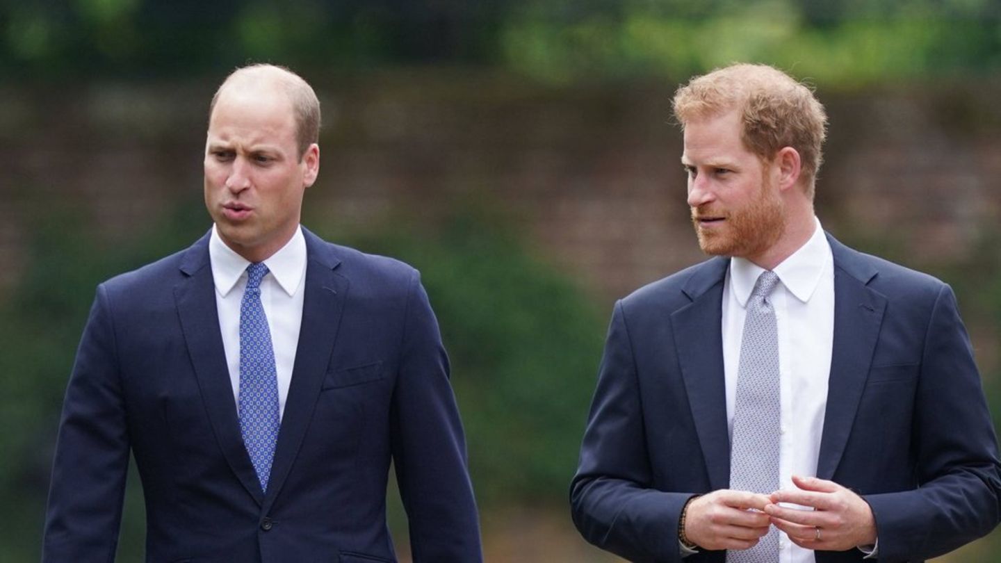 Prinz William und Prinz Harry, hier 2021 in London aufgenommen, richten separate Botschaften an die Preisträger des Diana-Awar