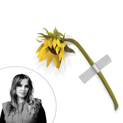 Kolumne: Marinić zum Thema Kunst: Eine Sonnenblume klebt an einer Wand