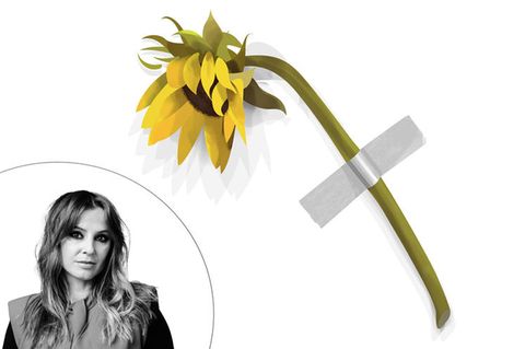 Kolumne: Marinić zum Thema Kunst: Eine Sonnenblume klebt an einer Wand