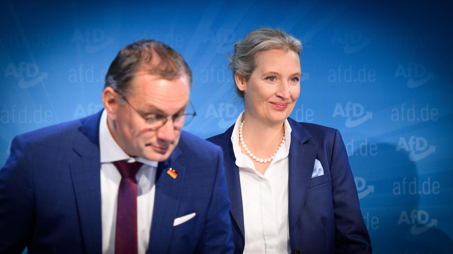 Alice Weidel: Die AfD schickt erstmals eine Frau als Kanzlerkandidatin in den Wahlkampf