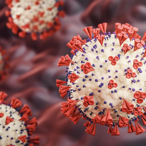 Symbolbild Vogelgrippe-Virus (Illustration)