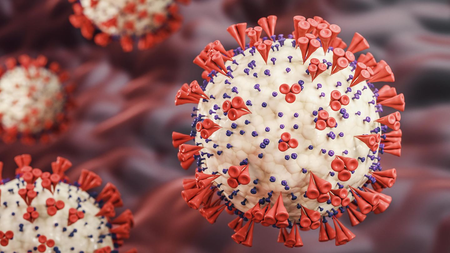 Symbolbild Vogelgrippe-Virus (Illustration)