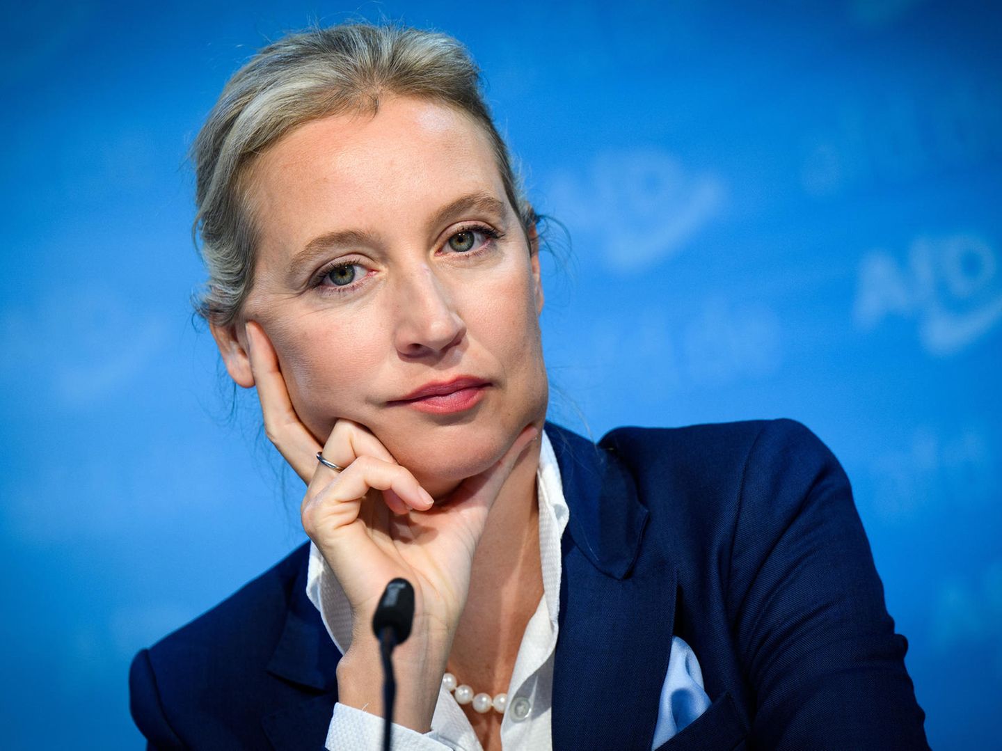 Alice Weidel und ihre Kanzlerkandidatur: Es kann nur eine geben | STERN.de