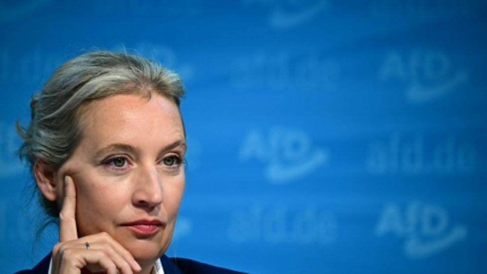 AfD-Vorstand Nominiert Weidel Als Kanzlerkandidatin | STERN.de