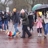 Ob es sich hier um ein politisches Statement handelt? Der Corgi trägt einen regenbogenfarbenen Mantel. Die sexuelle Ausrichtung des Hundes ist jedoch nicht bekannt