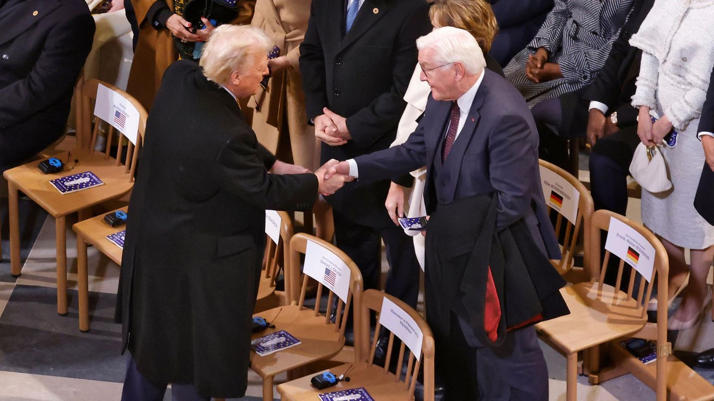Donald Trumps Hintermann für den Abend: Bundespräsident Frank-Walter Steinmeier