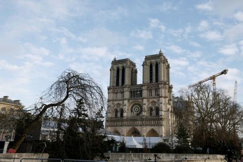 Notre-Dame erstrahlt in neuem Glanz