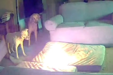 Dass gewisse Elektrogeräte explodieren, ist kein Einzelfall. Welche Geräte dafür besonders anfällig sind und wie man das Risiko minimieren kann, sehen Sie im Video.