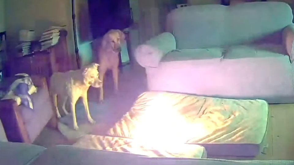 Dass gewisse Elektrogeräte explodieren, ist kein Einzelfall. Welche Geräte dafür besonders anfällig sind und wie man das Risiko minimieren kann, sehen Sie im Video.